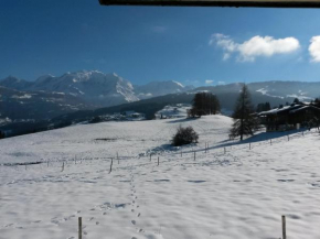 Rez de chaussée très calme vue Mont-Blanc